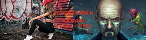 твердый Абаза