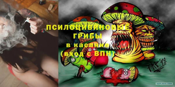 ешки Алзамай