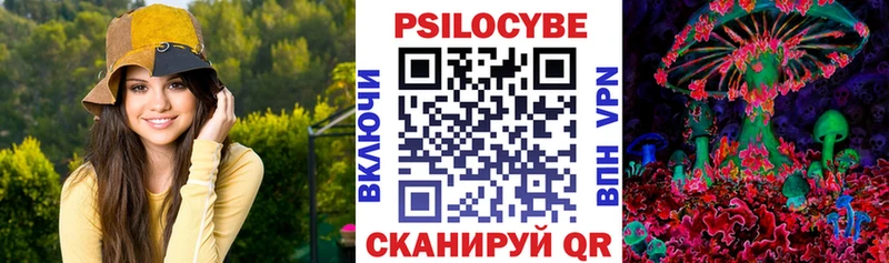 Галлюциногенные грибы Psilocybe  Иркутск 